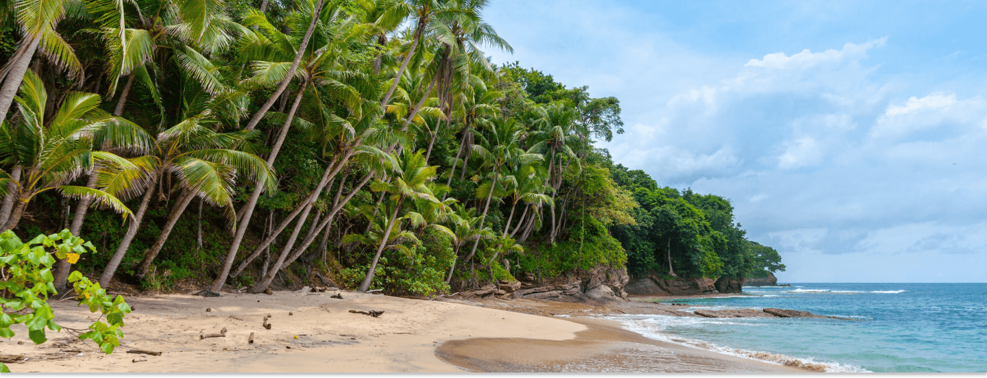 Imagem paisagem